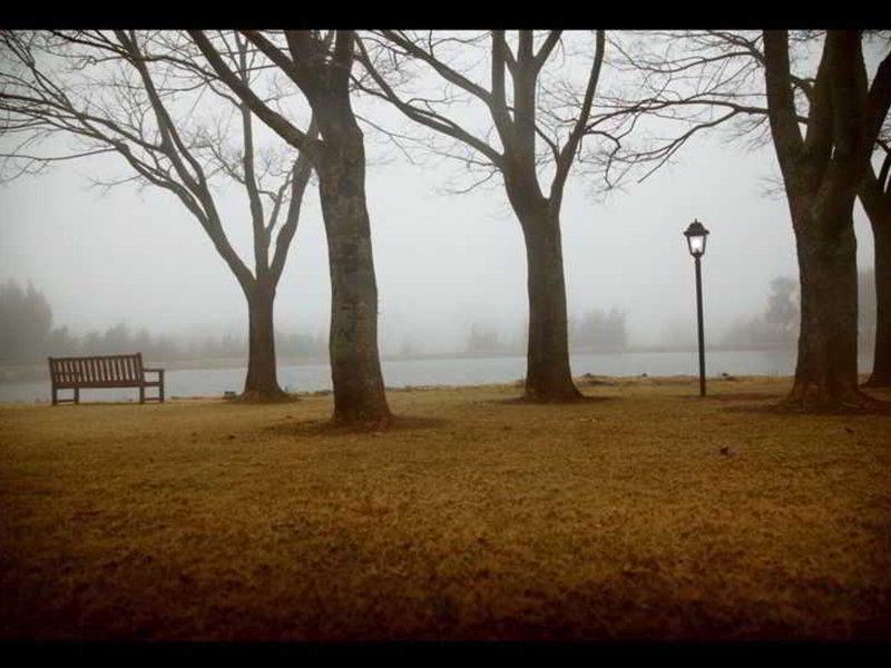 6885B725016B347E562F96EF77B8A6D4