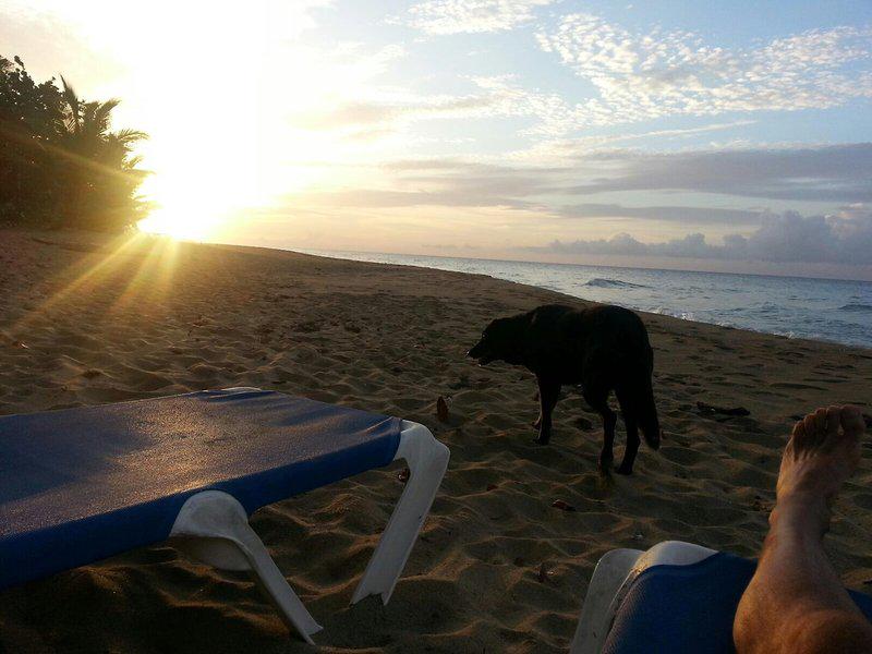 AA4B6660F805D236A9DC591E7017F17D