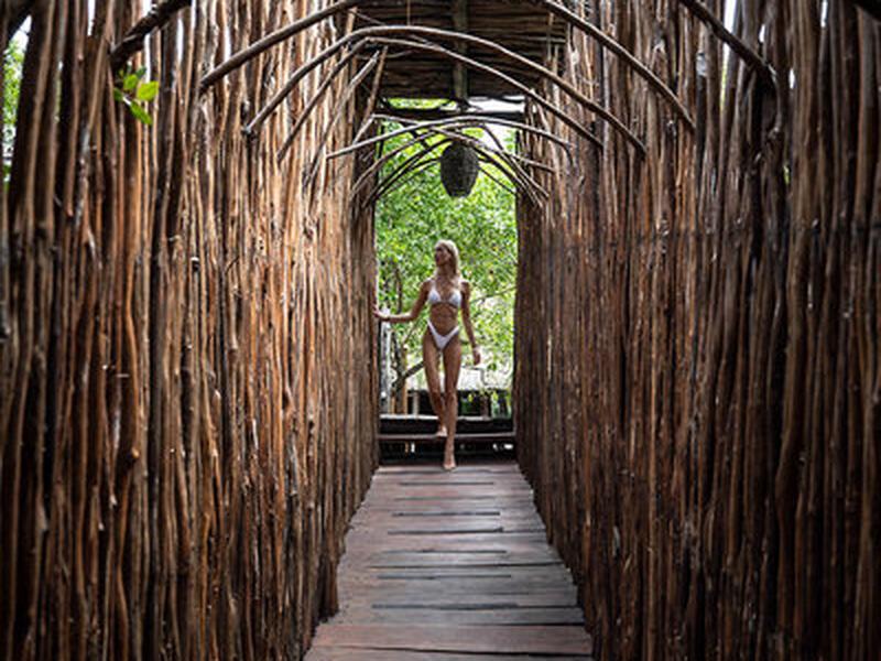 2CF6E4F6C47225D07D96B7BB70D56826