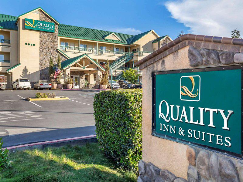 65BBB452D843BC76215564C2D29C64FC