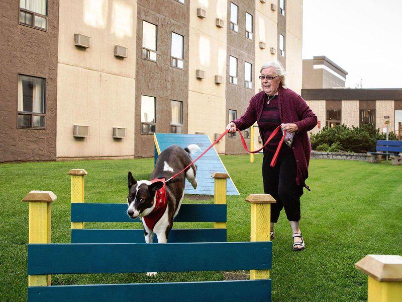 B8A08A493F6FFCCE5E3BAE8688ADF106