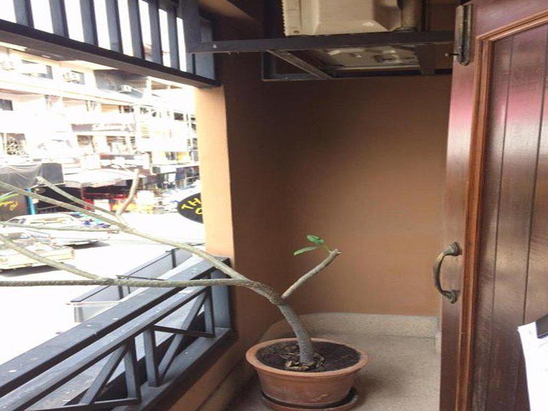 653FD1376693EE9972A43F6C52FDE71F