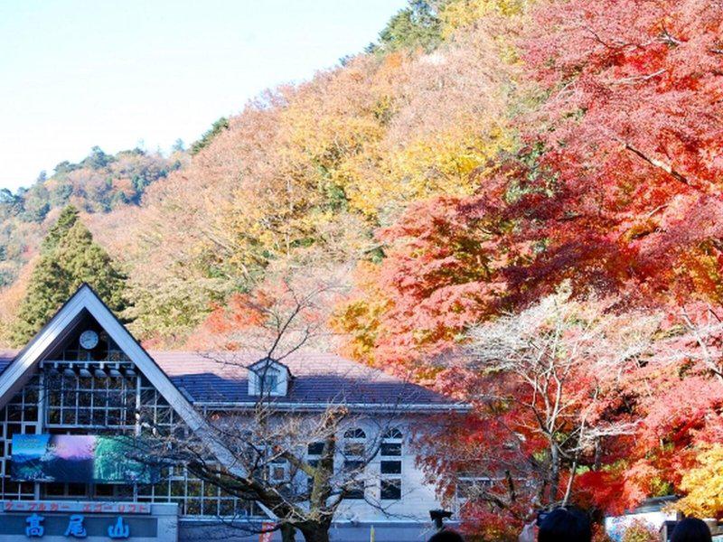 0E43E22A95B9C7A0DB205A413CA90ED5