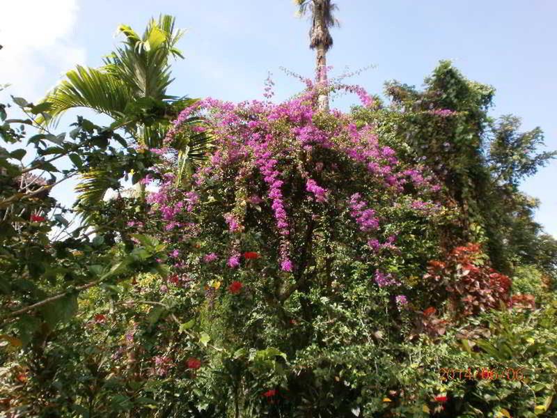 3F2F1EDEE397A12CA1DD5D7A485628FC