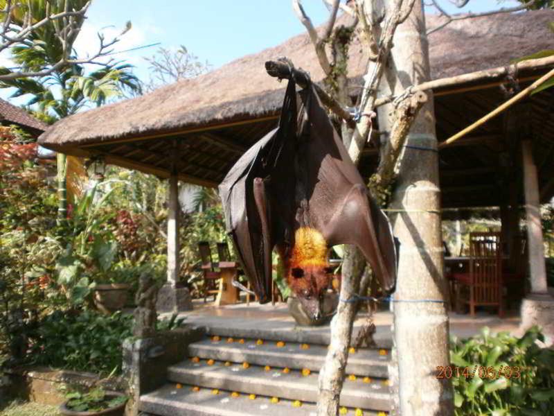 4291C87CD59A55621D54486C98BC05BA