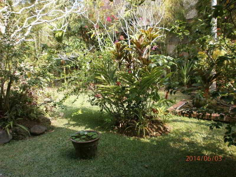 C15A7CE6B6956FA740C5F023BE73B29E