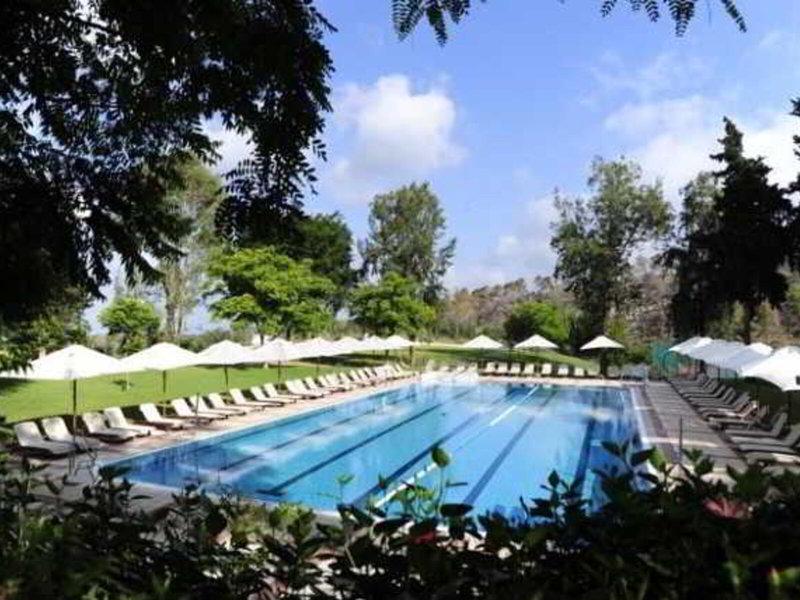 8D1C576B02DCDC9D0DC8451D831238A2