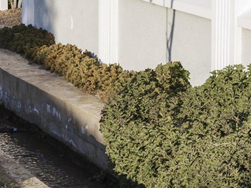 2AEEA864D06EE92DDBC0510E375EC823