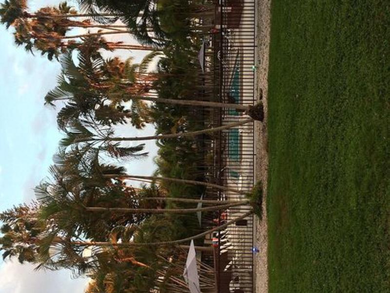 2AD585D2600D8D3F7EE4EEF4401CCA25