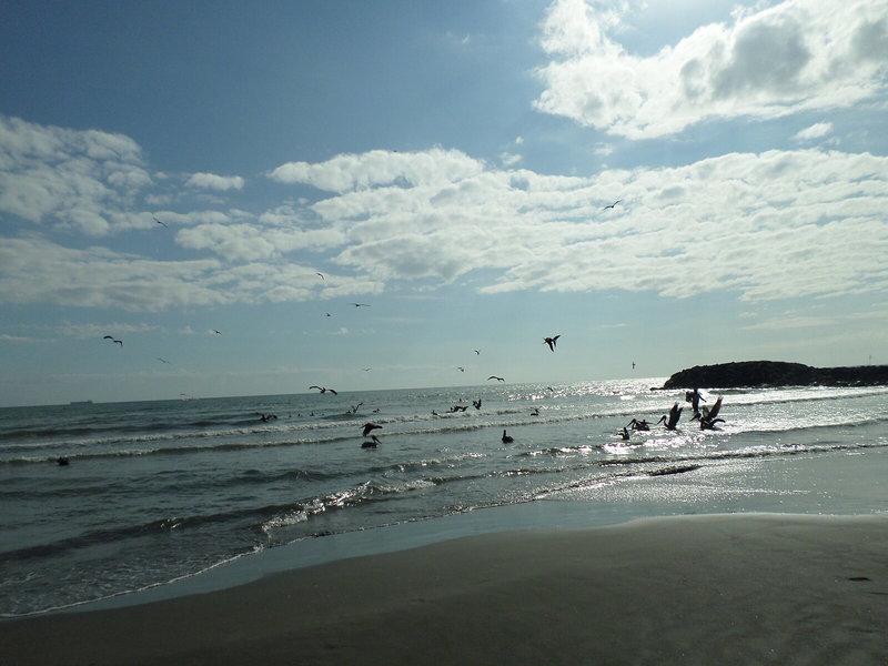 81A985C0DA30C0A9F5E0DB0E0A7D698B