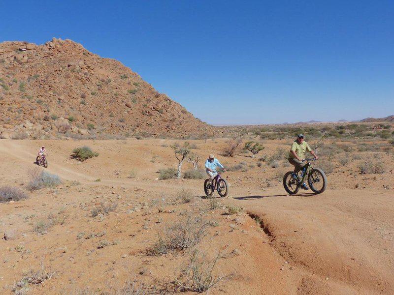 E0803206768DAF1C95139C7B036982BD