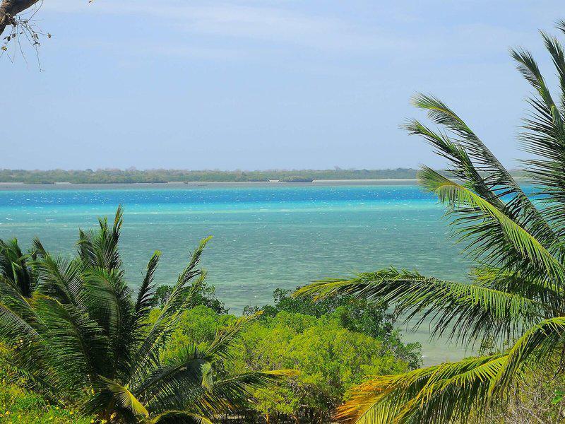 FAD255EE74597D6AA364CA8992E973B2