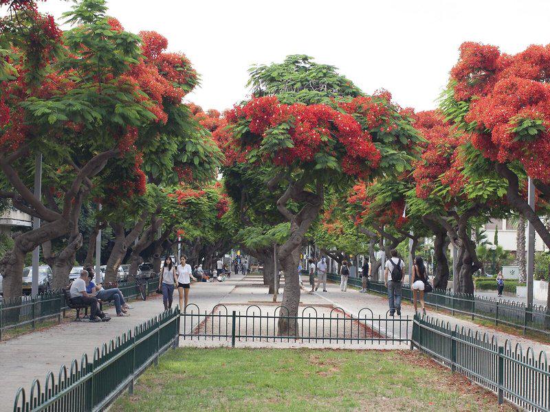 C7EE3EC349DE4115791FEA37AAFA083C