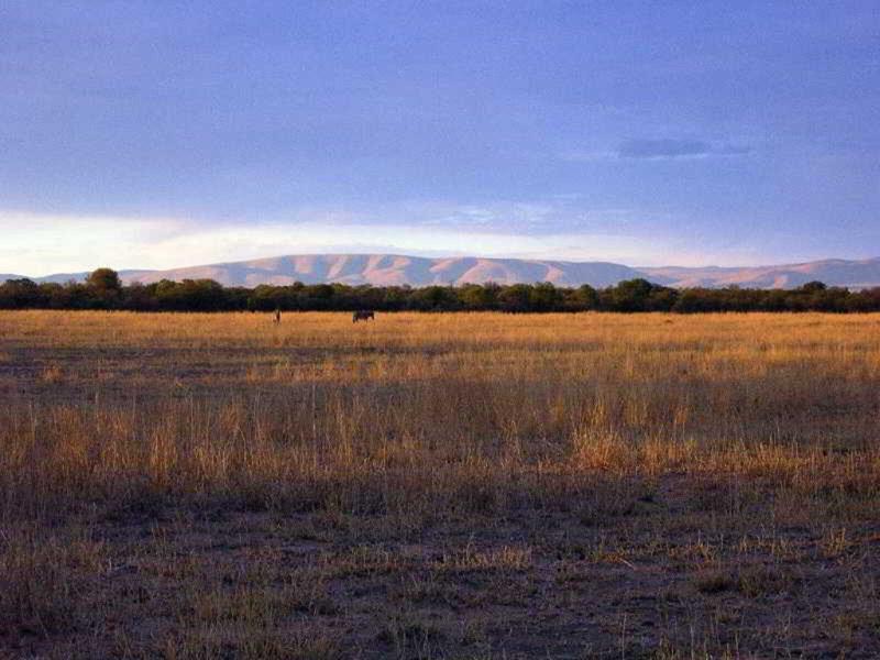 408709A634C67119934E257599E4F273