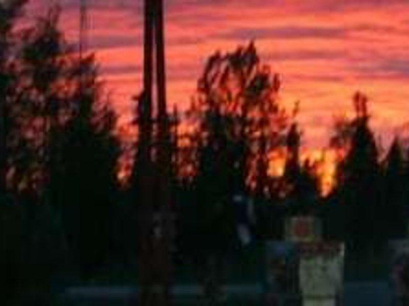 CD05D44D1D31FF600A94EEE203896670