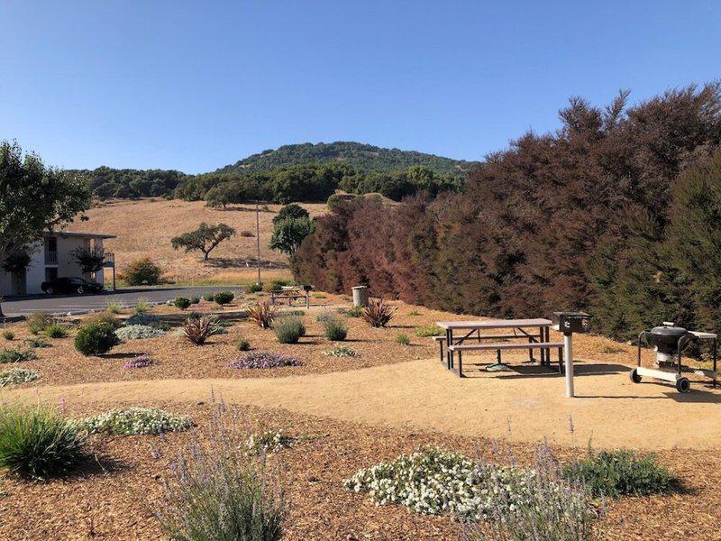 9183DA0AEFDEFB02805F044E222B26B1