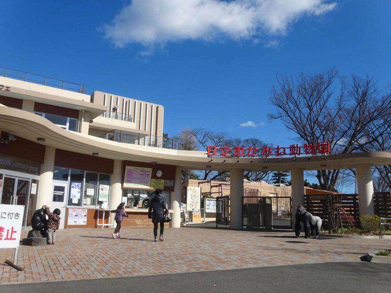 7FEFED41C81C6590B40EA0B6299FA669