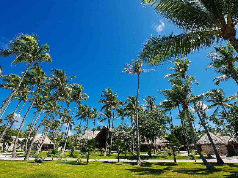 92AD068532923CFFA1390CAF0D77C441