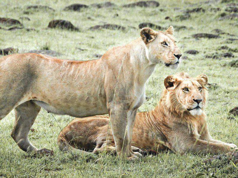 0D388588CFDE8D8441DF7B8E21735119