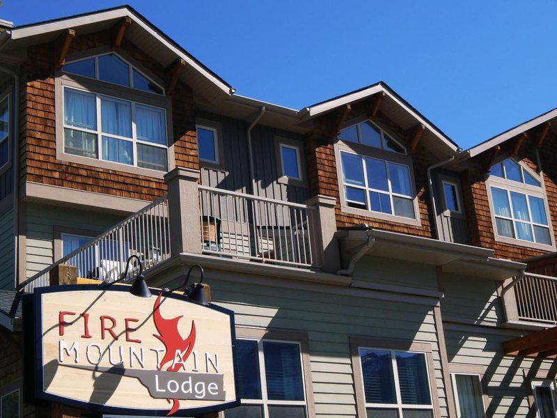 E67871F36A3E9344A2861D4726E63440