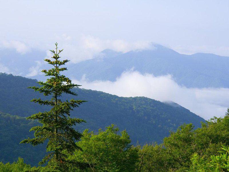 A598AF363AF593B4C653CB27D535D283