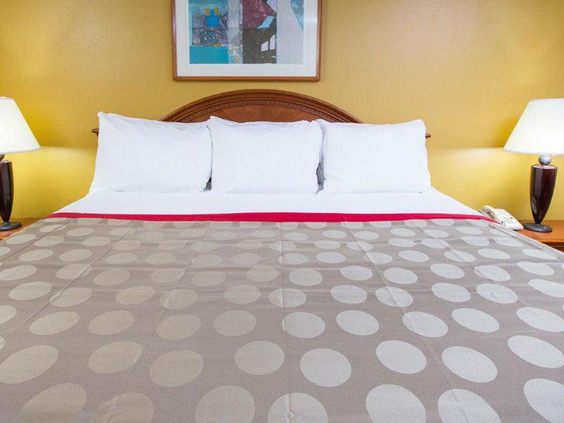 B47DC7AF0DA26C16B8E3A28258096C8F