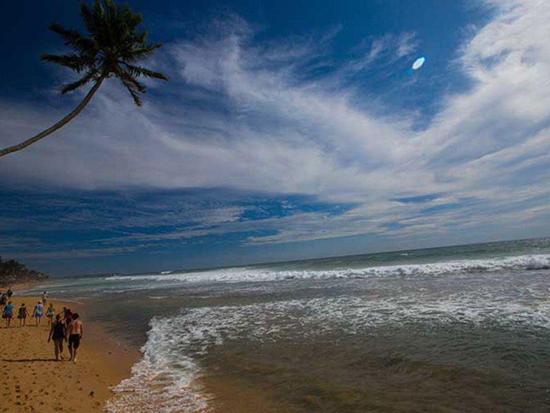 1F8D98172590E4D5789D9AF05A34D7EE