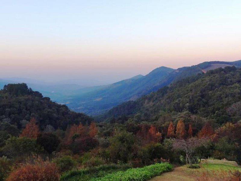 CF21B200F8016582DED4D734D2AB29B6