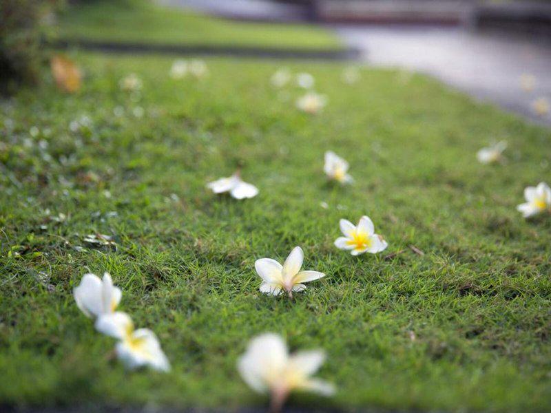 0C77CA0E34976C566CFC6B0A62B0059F