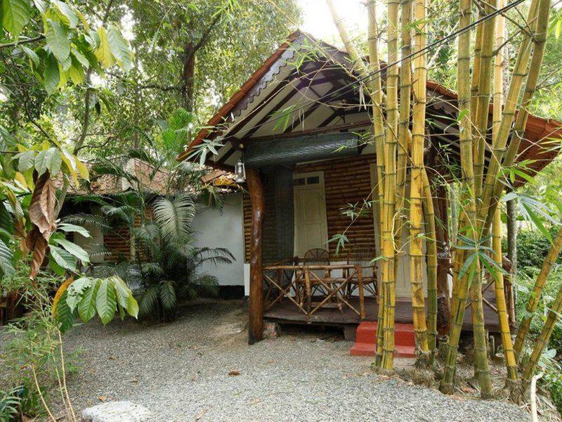 31ABD297096D90DAD57170838944C233