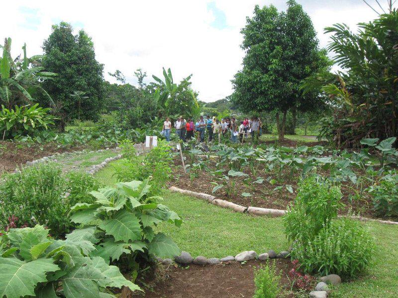 0E9F89527C96C42D41E8DB47AFD692E3