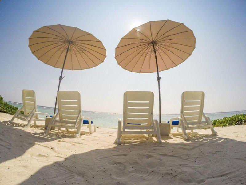 9D988717D5CB24F9F9798E7592D26BC2