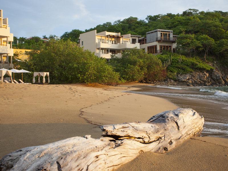 5591DC7CF65476E9518EC8E832E684B5