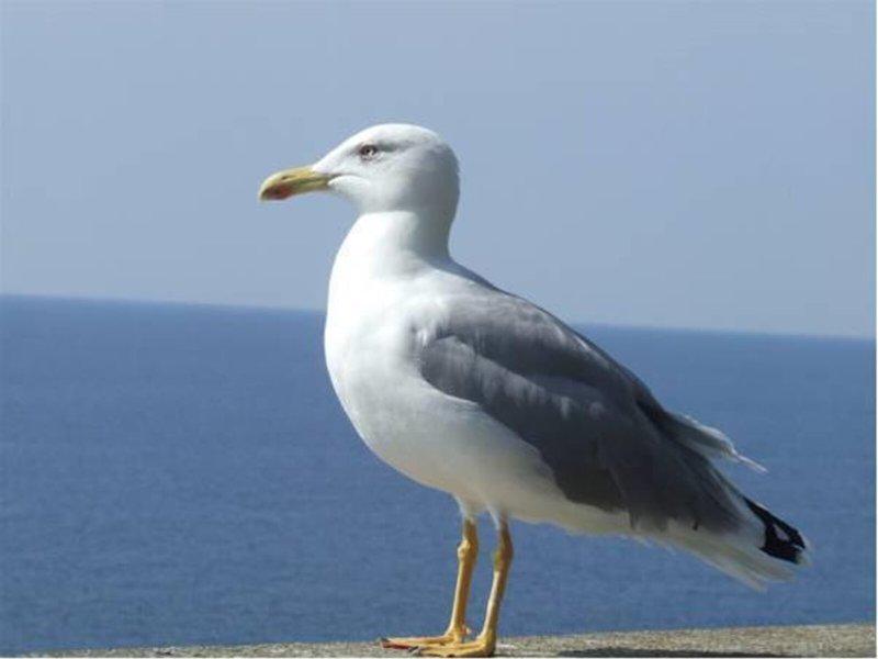 6366A381182533C13AB2128B9D87C2FF