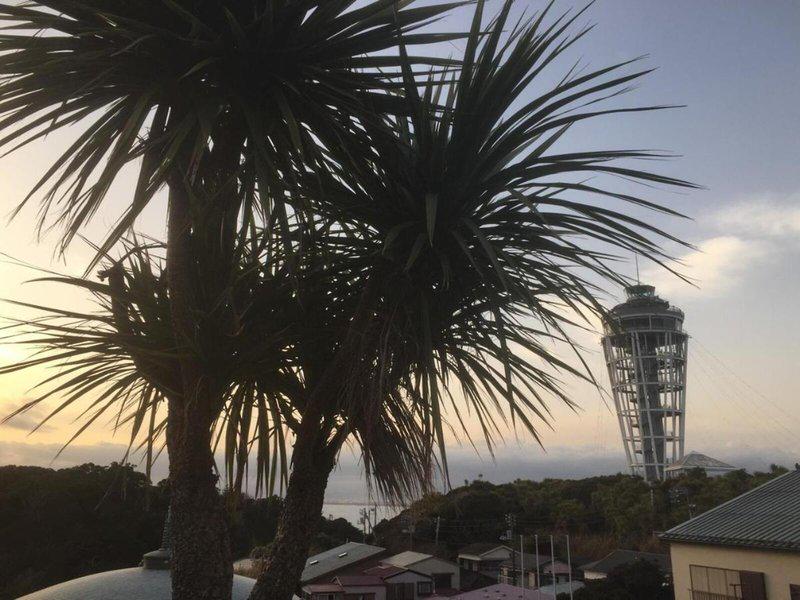 AF61305948EE49A4D11A3A7058FEDAFF