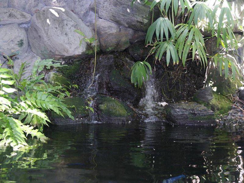 1BB6D099C0A2DCDAF19ABEA7501C3F6B