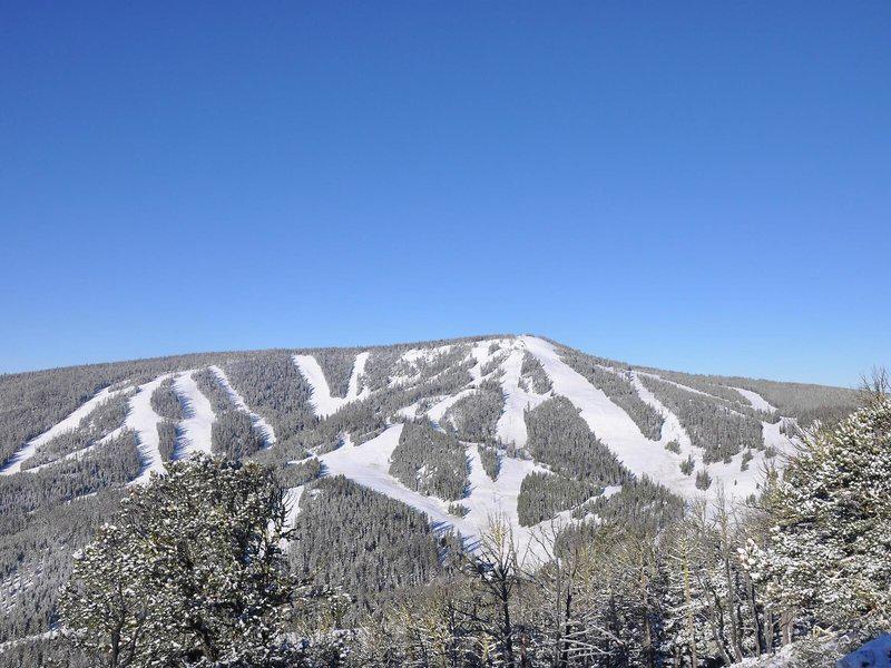 9226D9079798AA9729EAFEA0F2725F4A