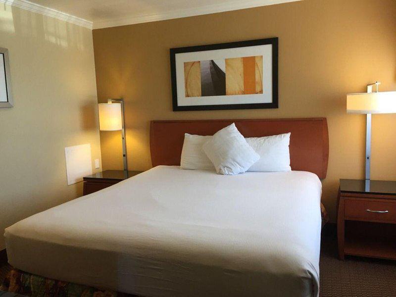 8F5A4FE7FEEF8D66F01478F420F080AA