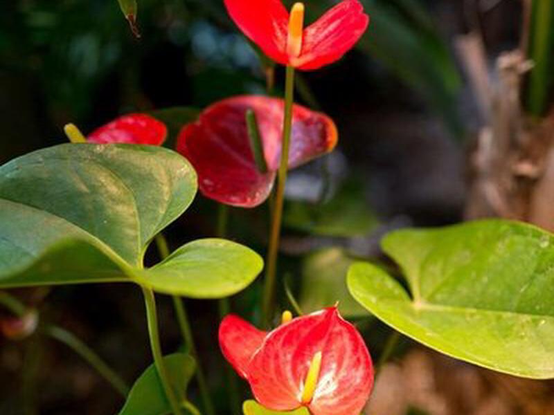 D94175DB84C6B5BE2C9FF0A723D80C1C