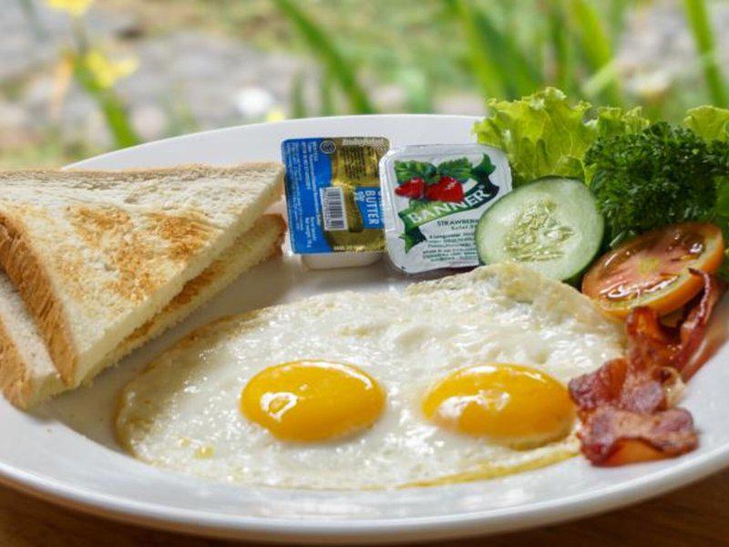 61A456FEF7181116872C78825811E1E6