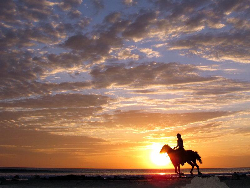 E8F4074C27848B3D3B331EBABA17D8AA