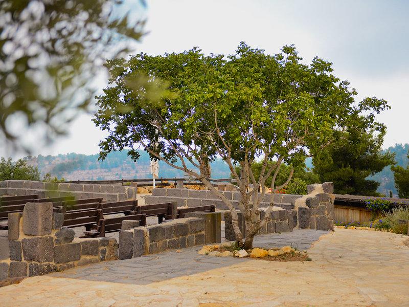 EBC877281AAEF8E7CD58591991A56E5E