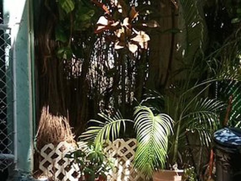 37E71B1B5415116E35D4256BB4305CEA