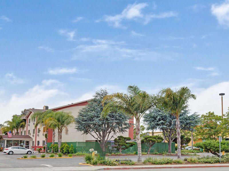 0706C9FEE19A8A0421C47565D46CDD8F