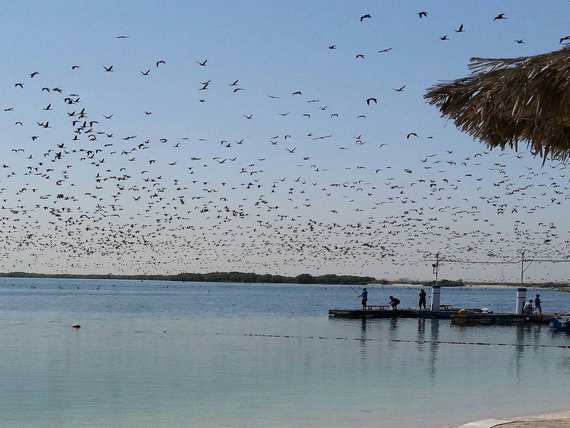 75A49065572DE42A240A3C10F00AC0A3