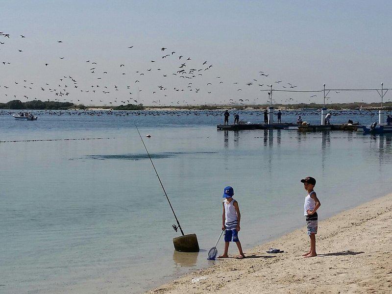 E8359FC31BE75B6775A2452881751BD2