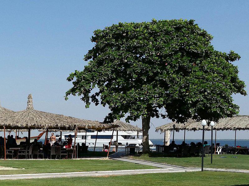 6F8AE5303A38950D840014CE2448B9CC