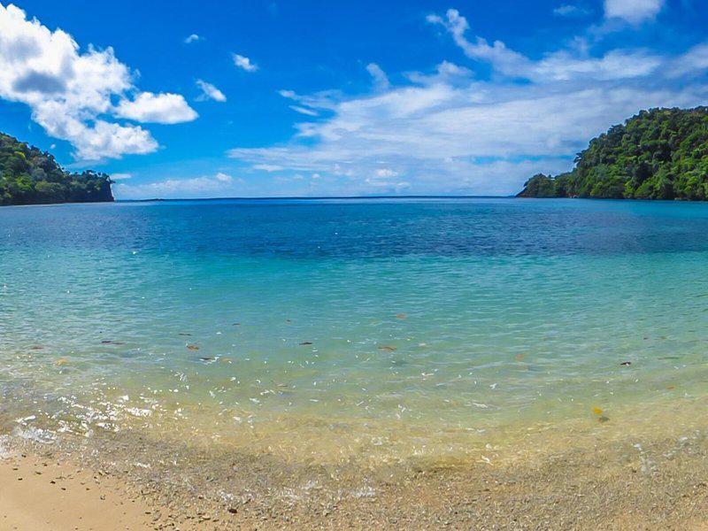 EFDC114FBD060270E04C4DF70257D6FA