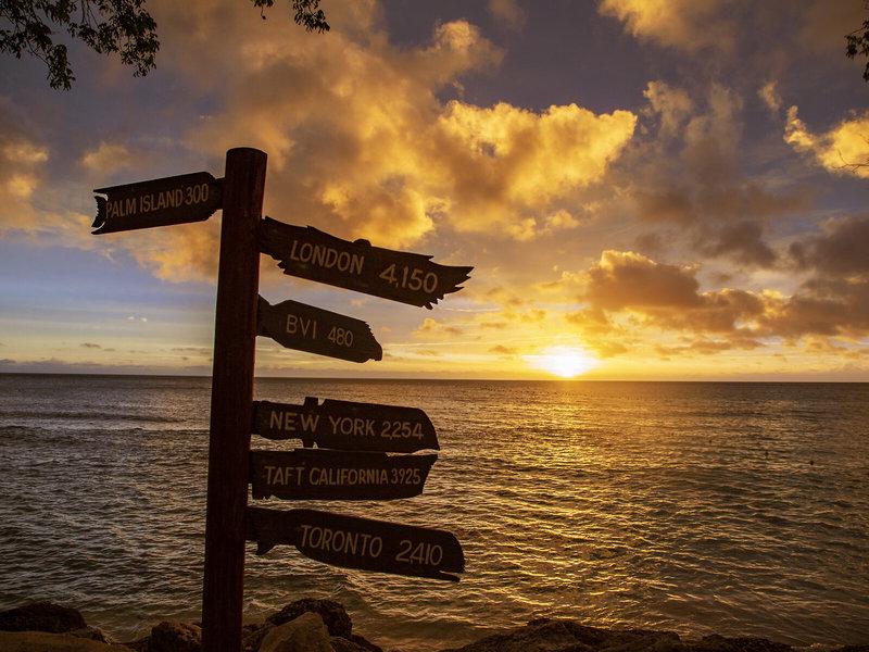 B370D872743AC394D3EEA5ECEDD62926