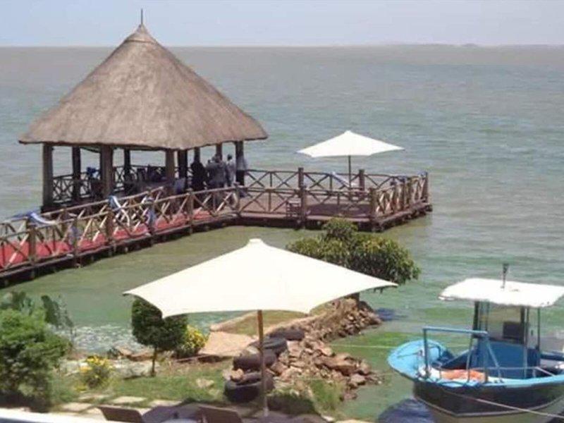 6641C4F62D66C34EB8E02DA8E61229E3